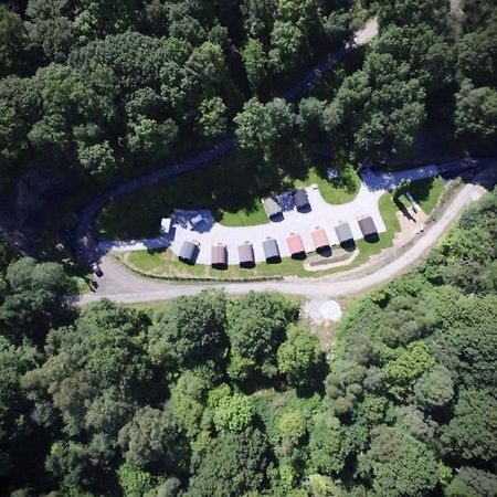 Forest Pod 4 Pet Friendly Villa Neath Exteriör bild