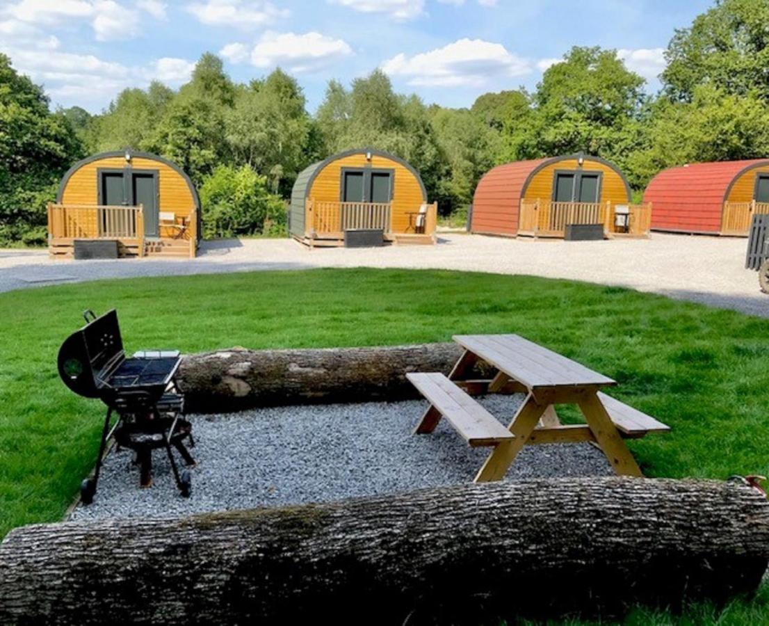 Forest Pod 4 Pet Friendly Villa Neath Exteriör bild